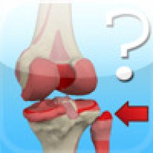  Anatomy Knee Quiz (2009). Нажмите, чтобы увеличить.
