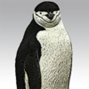  Animal Accents (2009). Нажмите, чтобы увеличить.