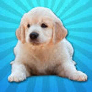  Animal Baby Match (2009). Нажмите, чтобы увеличить.