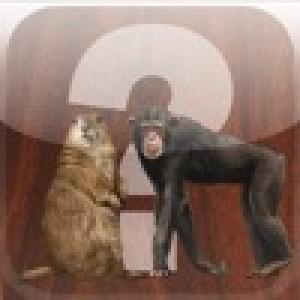 Animal Memory Quiz (2010). Нажмите, чтобы увеличить.