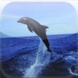  Animal Mixer (2009). Нажмите, чтобы увеличить.