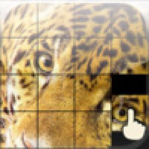  Animal Puzzle: Play & Learn (2009). Нажмите, чтобы увеличить.