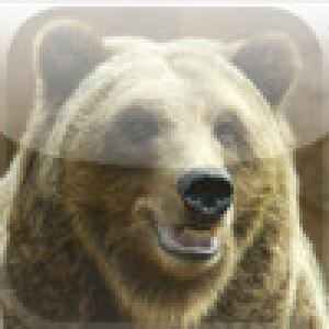  Animal Spin (2009). Нажмите, чтобы увеличить.