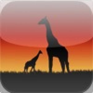  Animal Tiles (2010). Нажмите, чтобы увеличить.