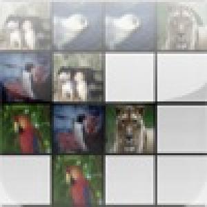  AnimalPair (2010). Нажмите, чтобы увеличить.