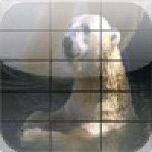  AnimalPuzzle for the Child-15 parts (2010). Нажмите, чтобы увеличить.