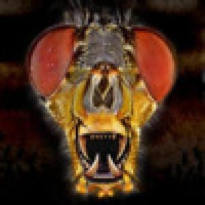  Attack of the Killer Bugs (2008). Нажмите, чтобы увеличить.