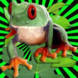  Backyard Zoo Flashcards Gold (2009). Нажмите, чтобы увеличить.