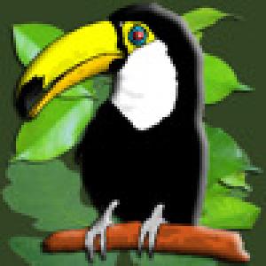  Backyard Zoo iFlashcards Deluxe (2009). Нажмите, чтобы увеличить.