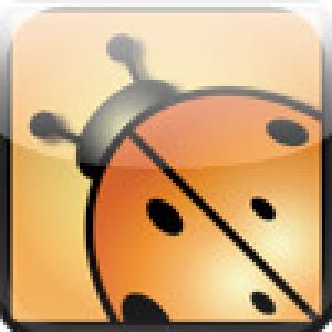  Beetle Lines (2008). Нажмите, чтобы увеличить.