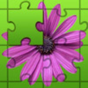 Bewilder-III 101 flowers jigsaw puzzle game (2009). Нажмите, чтобы увеличить.