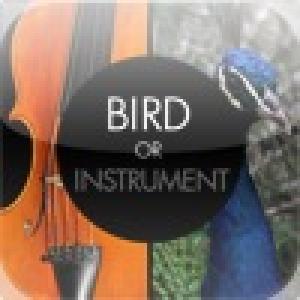  Bird or Instrument (2010). Нажмите, чтобы увеличить.