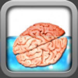  Brain Race (2009). Нажмите, чтобы увеличить.
