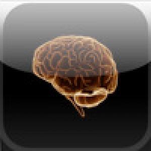  BrainWordLt (2009). Нажмите, чтобы увеличить.