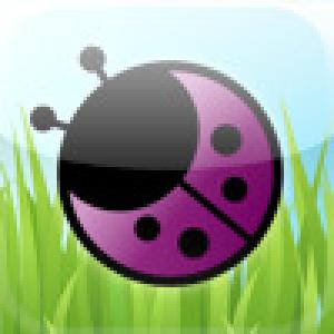  Bug Landing (2009). Нажмите, чтобы увеличить.