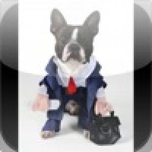  Business Man Dog Slide Puzzle (2010). Нажмите, чтобы увеличить.