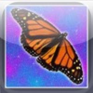  Butterfly Taps (2009). Нажмите, чтобы увеличить.