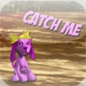  CatchMe! (2008). Нажмите, чтобы увеличить.