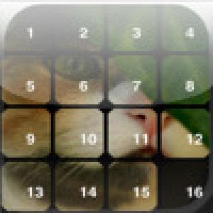  Cats 15 Puzzle (2009). Нажмите, чтобы увеличить.