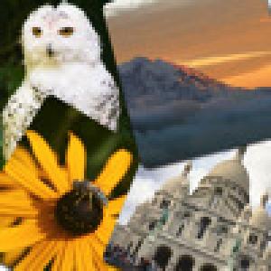  Concentration Game (2009). Нажмите, чтобы увеличить.