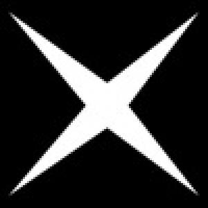  Cross Shot X (2010). Нажмите, чтобы увеличить.