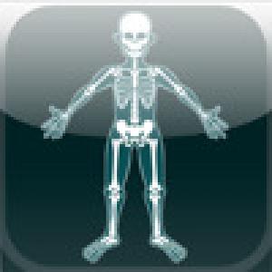  Dem Bones (2009). Нажмите, чтобы увеличить.