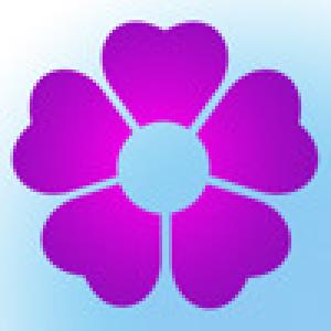  FibuMatch (2010). Нажмите, чтобы увеличить.