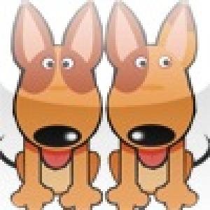  Find it! Q dog (2010). Нажмите, чтобы увеличить.