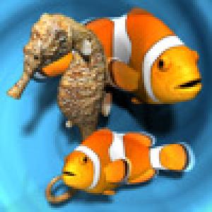  Fish Farm (2010). Нажмите, чтобы увеличить.