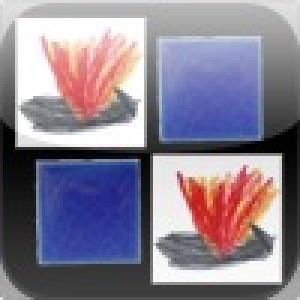  Flip Flap (2010). Нажмите, чтобы увеличить.