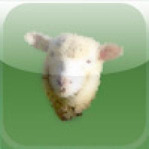  Flocky (2009). Нажмите, чтобы увеличить.