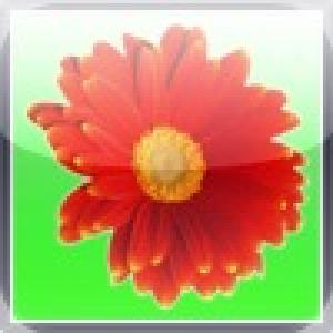  Flower Taps (2010). Нажмите, чтобы увеличить.