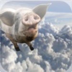  Flying Pig Slide Puzzle (2010). Нажмите, чтобы увеличить.