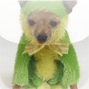  Frog Dog Slide Puzzle (2010). Нажмите, чтобы увеличить.