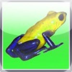  Frog Taps (2010). Нажмите, чтобы увеличить.