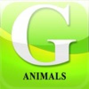  GTI:Animals (2009). Нажмите, чтобы увеличить.