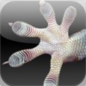  Gecko Slider Puzzle (2010). Нажмите, чтобы увеличить.