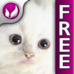  giveMe Cats (2010). Нажмите, чтобы увеличить.