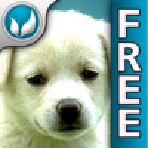  giveMe Dogs (2010). Нажмите, чтобы увеличить.