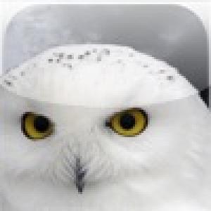  Harry Potter Trivia (2009). Нажмите, чтобы увеличить.