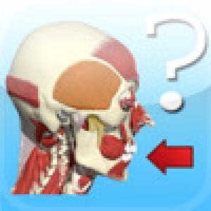  Head & Neck Quiz (2009). Нажмите, чтобы увеличить.