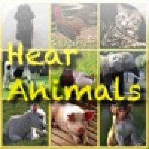  Hear Animals (2009). Нажмите, чтобы увеличить.