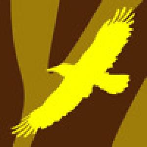  Higher Order - The Animals (2010). Нажмите, чтобы увеличить.