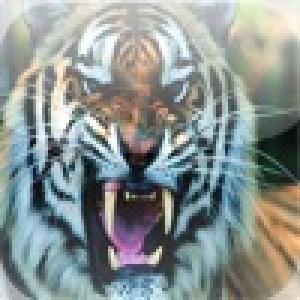  IQDoor (2010). Нажмите, чтобы увеличить.