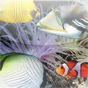  iCatchDaFish (2010). Нажмите, чтобы увеличить.