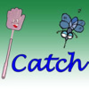  iCatcha (2010). Нажмите, чтобы увеличить.