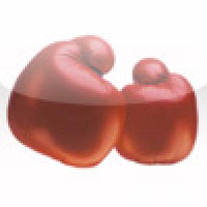  iDispute (2009). Нажмите, чтобы увеличить.