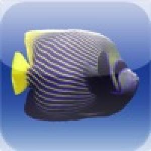  iFishies (2010). Нажмите, чтобы увеличить.