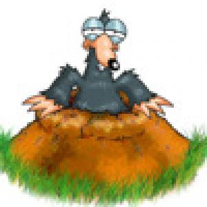  iMole (2010). Нажмите, чтобы увеличить.