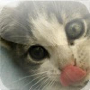  iPet Cats (2009). Нажмите, чтобы увеличить.